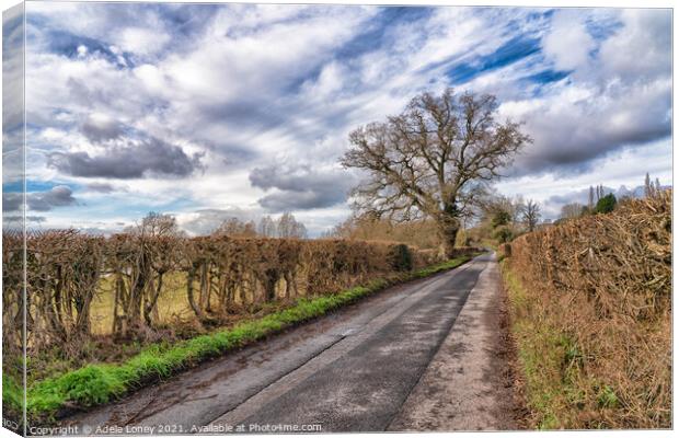 Country Road Take Me Home Canvas Print by Adele Loney