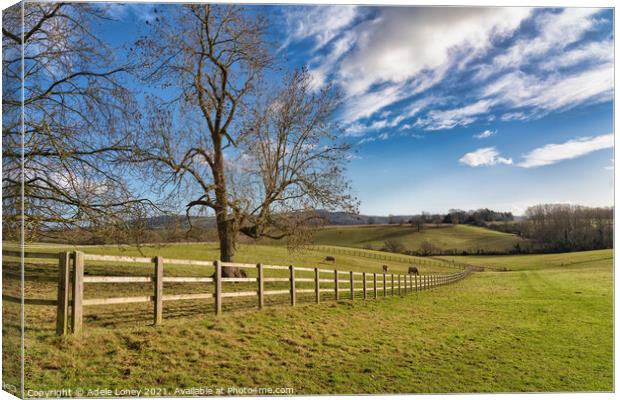 Herefordshire Countryside under a blue sky Canvas Print by Adele Loney