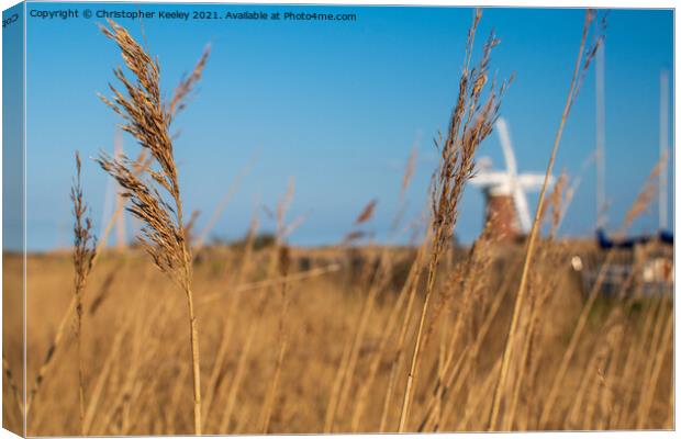 Horsey Windpump through the reeds Canvas Print by Christopher Keeley