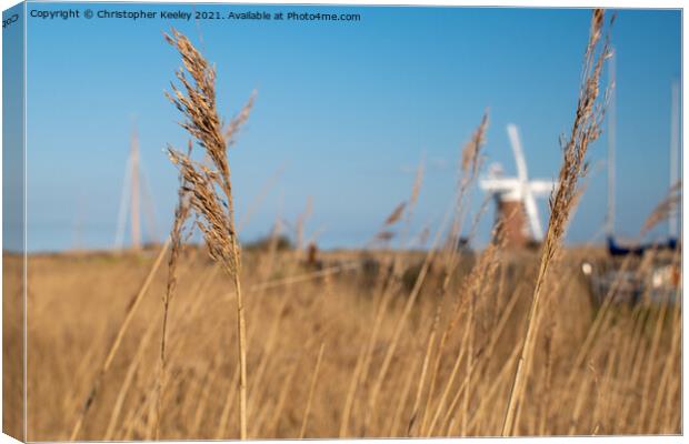 Horsey Windpump through the reeds Canvas Print by Christopher Keeley