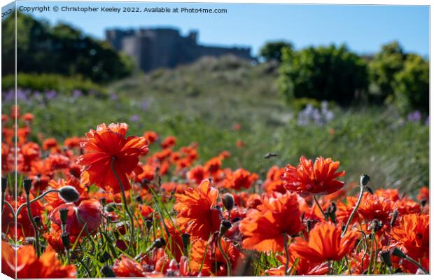 Poppies at Bamburgh Castle Canvas Print by Christopher Keeley