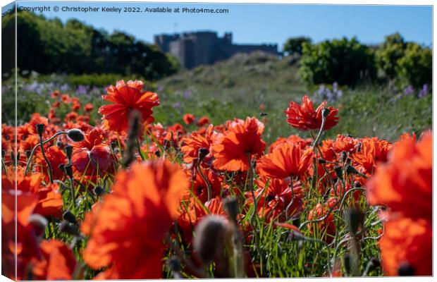 Summer and red poppies at Bamburgh Castle Canvas Print by Christopher Keeley