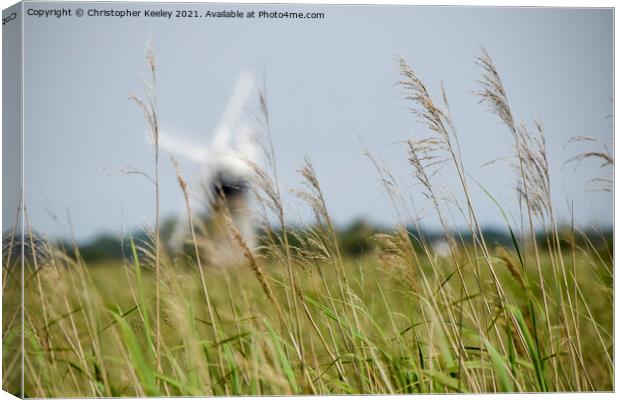 Norfolk Broads windmill through the reeds, Canvas Print by Christopher Keeley