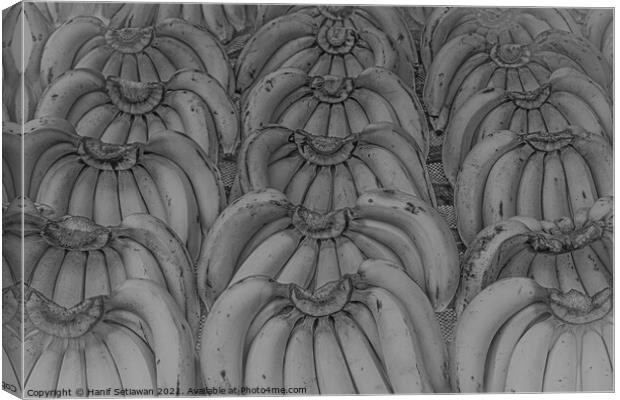 Banana bunches in symmetric order and in grey. Canvas Print by Hanif Setiawan