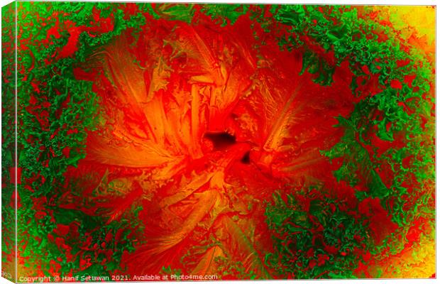 Abstract shapes from lettuce leaves, edit digital. Canvas Print by Hanif Setiawan