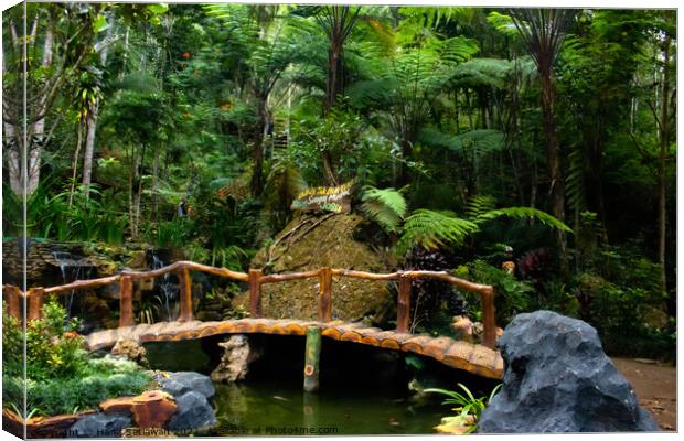 A bamboo bridge at a fish pond in the rain forest  Canvas Print by Hanif Setiawan