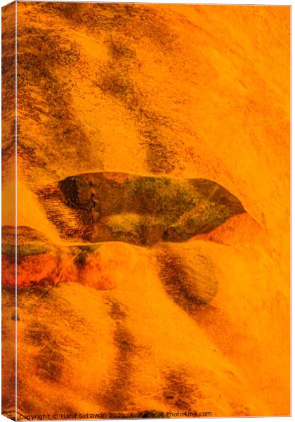 Cave painting on orange cave wall. Canvas Print by Hanif Setiawan
