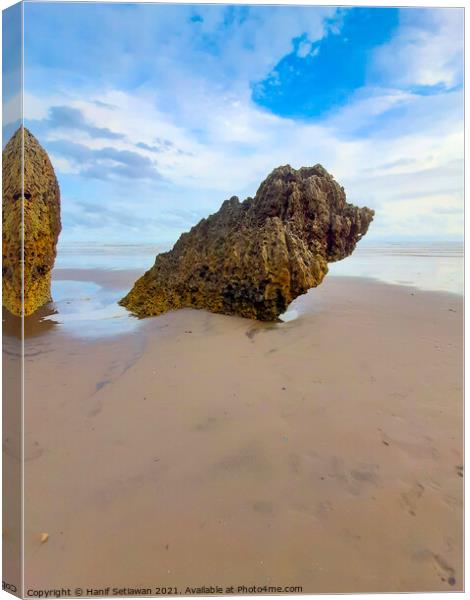 Rocky bird sitting on sand beach and looks to the  Canvas Print by Hanif Setiawan