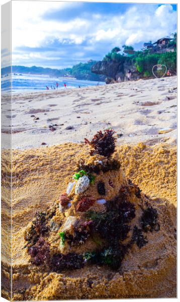 Santa Claus built from sand seaweed and stones at a sand beach 2b Canvas Print by Hanif Setiawan