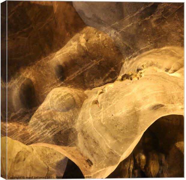 Squared abstract shapes of dog snout on cave wall Canvas Print by Hanif Setiawan