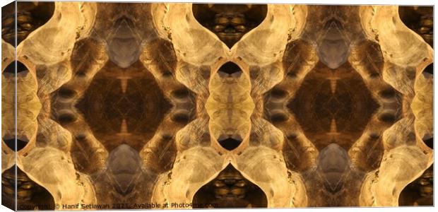Doubled Rotated Mirrored Ornament on cave wall.  Canvas Print by Hanif Setiawan