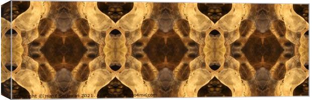 Triptych of Rotated Mirrored Ornament on cave wall Canvas Print by Hanif Setiawan