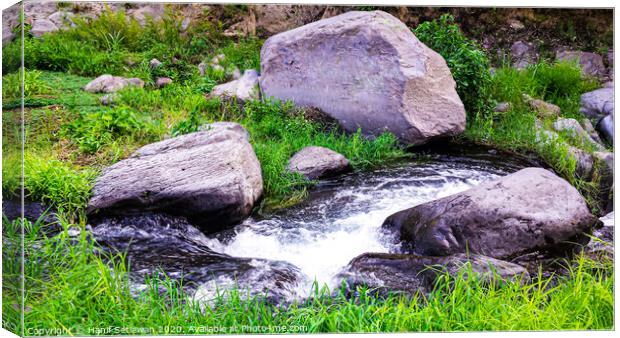 Wild creek with stones and grass Canvas Print by Hanif Setiawan