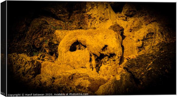 Animal skull sculpture by rock erosion 1 Canvas Print by Hanif Setiawan