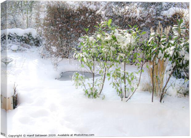 A sunny winter day with fresh snow and footprints  Canvas Print by Hanif Setiawan