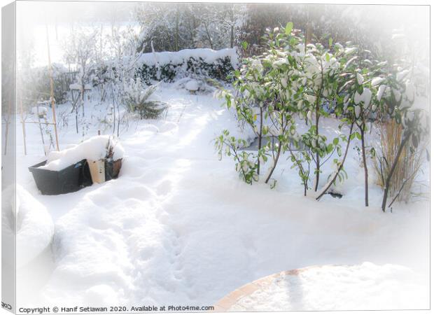 Fresh snow with deep foot prints in sunny garden Canvas Print by Hanif Setiawan