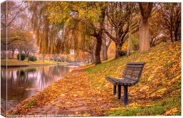 Hythe Canal - Autumn leaves  Canvas Print by James Eastwell