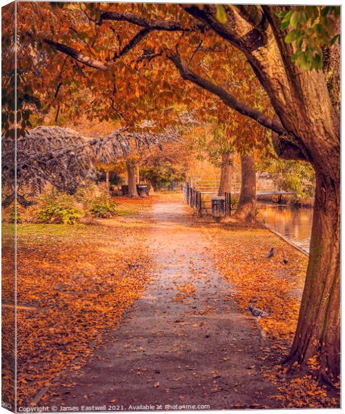 Great Stour Way, Canterbury in Autumn Canvas Print by James Eastwell