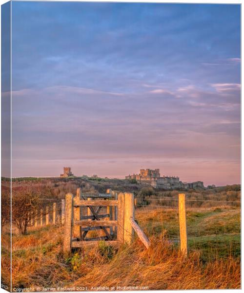 Dover castle - The gate #2 Canvas Print by James Eastwell