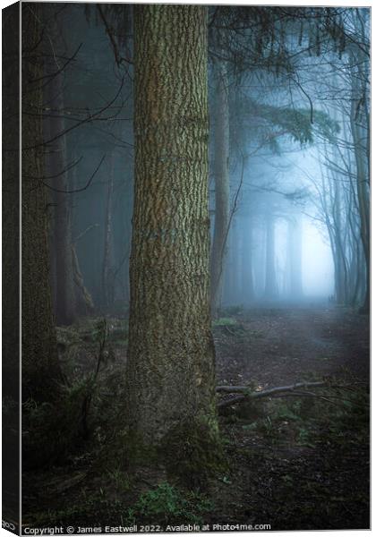 Mystical  Canvas Print by James Eastwell