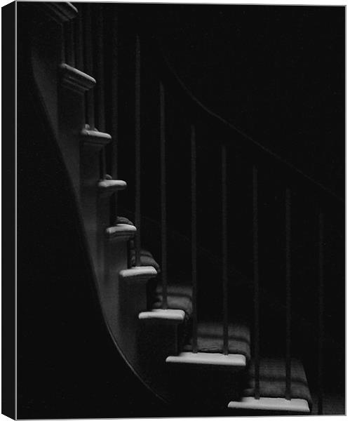 Stairs at AC&H Canvas Print by Ranald Dods