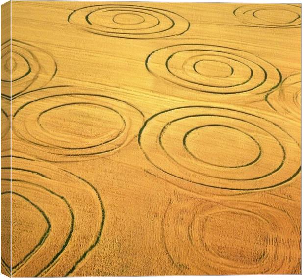Crop circles in Scotland  Canvas Print by Paddy 