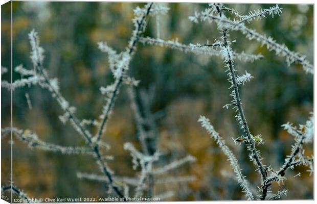 Frosty abstract Canvas Print by Clive Karl Wuest