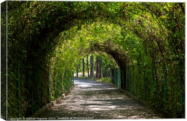 Green tunnel in the garden Canvas Print by Mikhail Pogosov