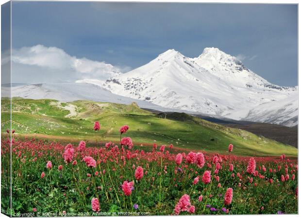 Mountains of the Caucasus Canvas Print by Mikhail Pogosov