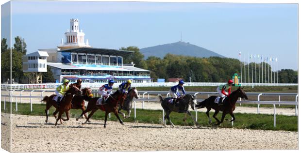 Horse race. Canvas Print by Mikhail Pogosov