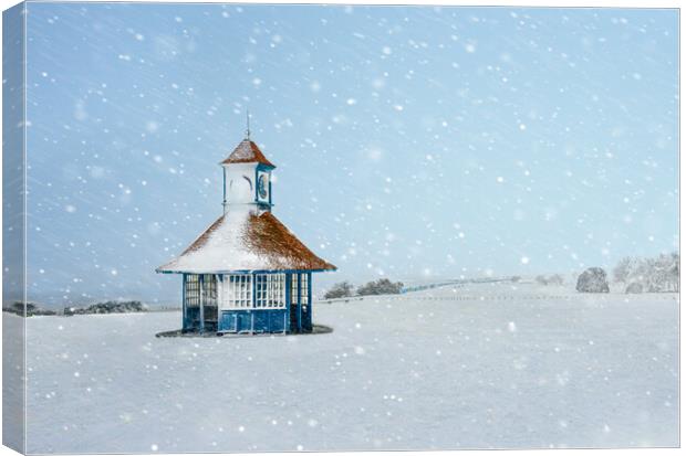 Let it snow  Canvas Print by Paula Tracy