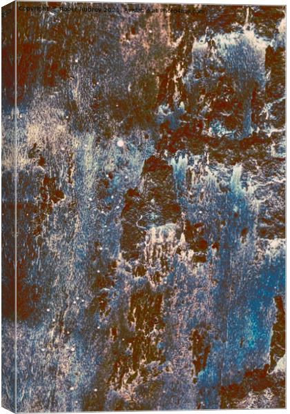 Abstract in wood Canvas Print by Roger Aubrey
