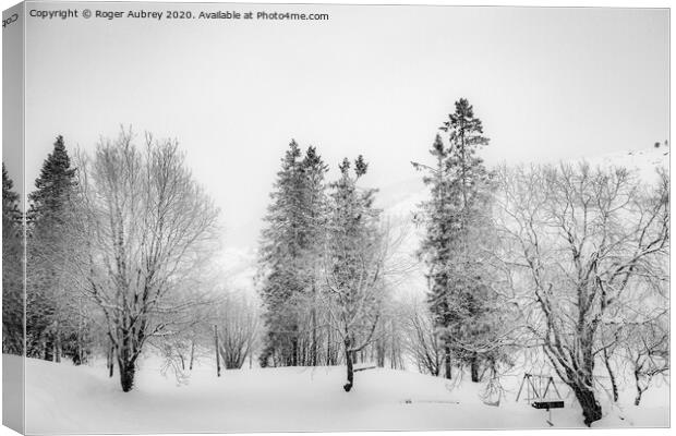 Snow covered trees, Norway Canvas Print by Roger Aubrey