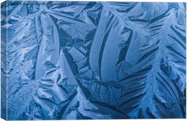 Ice pattern  Canvas Print by Roger Aubrey