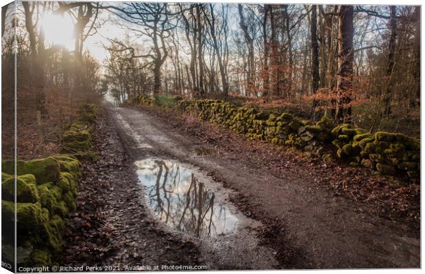 The Enchanted Forest - Otley Chevin Canvas Print by Richard Perks