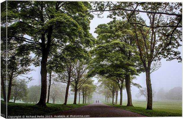 Roundhay Park avenue of Trees Canvas Print by Richard Perks