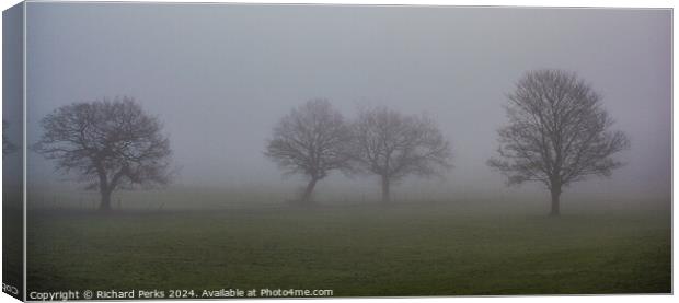 Foggy February Days Canvas Print by Richard Perks