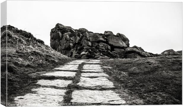 Pathway Canvas Print by Richard Perks