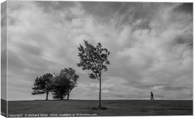 little man in a big world Canvas Print by Richard Perks