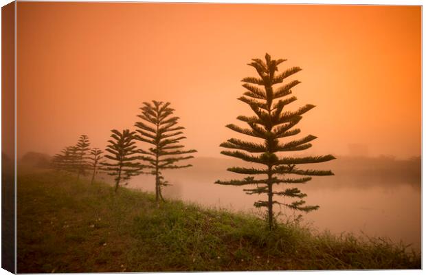 THAILAND CHIANG RAI LANDSCAPE MORNING FOG  Canvas Print by urs flueeler