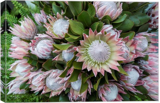 PORTUGAL MADEIRA FUNCHAL FLOWER FESTIVAL Canvas Print by urs flueeler