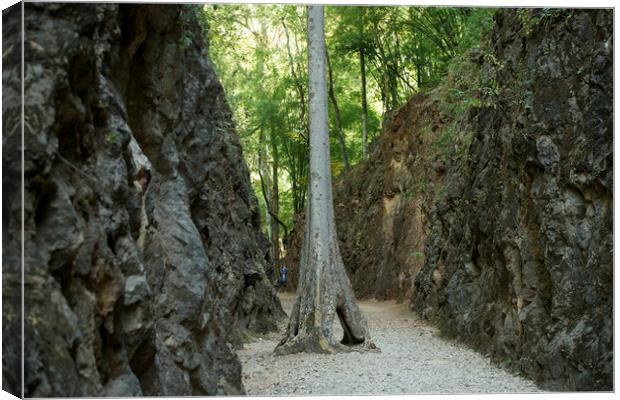 THAILAND KANCHANABURI HILLFIRE PASS DEATH RAILWAY Canvas Print by urs flueeler