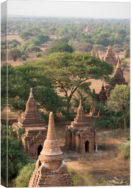 ASIA MYANMAR BAGAN TEMPLE PAGODA LANDSCAPE Canvas Print by urs flueeler