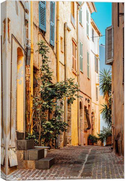 Street In Cannes, French Riviera, Cote D'Azur Canvas Print by Radu Bercan