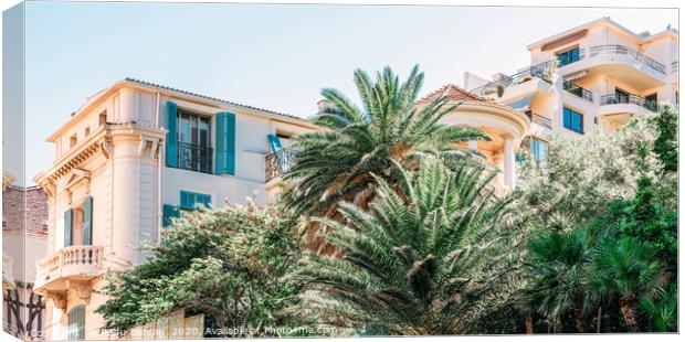 Palm Trees, Cannes City, French Riviera Canvas Print by Radu Bercan