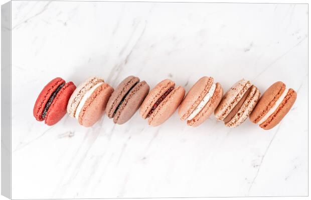 Pastel Macarons Flat Lay Print, French Macaron Decor Canvas Print by Radu Bercan