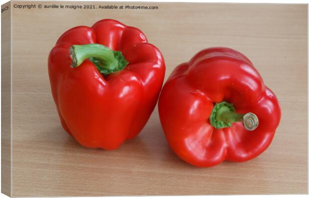 Two red peppers Canvas Print by aurélie le moigne