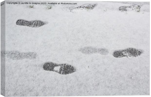 Footprints on snow Canvas Print by aurélie le moigne