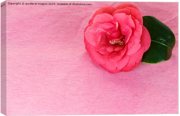 Camellia flower for Valentine's day Canvas Print by aurélie le moigne