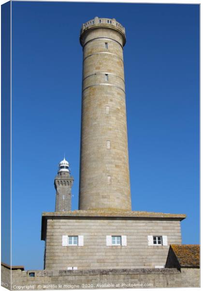 Lighthouses of Penmarc'h and Eckmul Canvas Print by aurélie le moigne